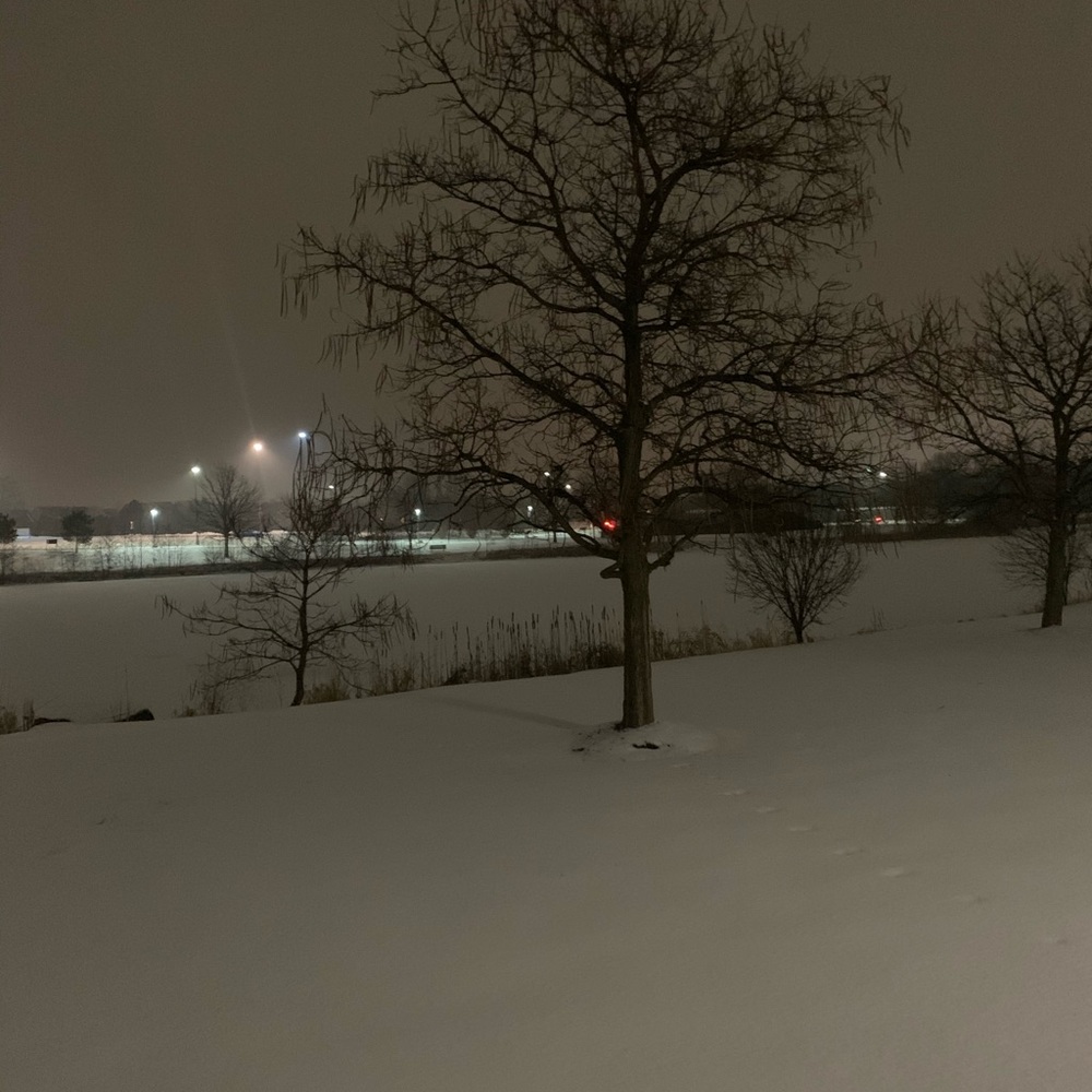 Meet your Posher, Karina